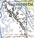 Topographic map of Chornoplesy