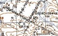 Топографічна карта Борисковичів