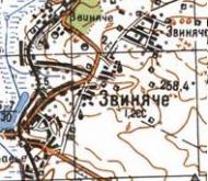Topographic map of Zvynyache