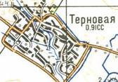 Топографическая карта Терновой