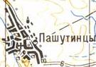 Топографічна карта Пашутинців