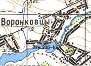 Топографічна карта Воронківців