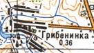 Topographic map of Grybenynka
