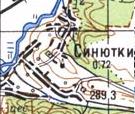 Топографічна карта Синюток