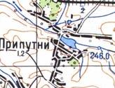 Topographic map of Pryputni