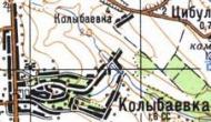 Topographic map of Kolybayivka