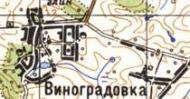 Топографическая карта Виноградовки