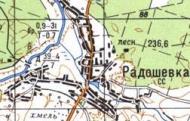 Топографічна карта Радошівки