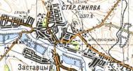 Топографічна карта Старої Синяви