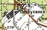 Топографическая карта Первухинки