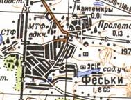 Топографічна карта Фесьок