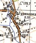 Топографическая карта Гуриновки