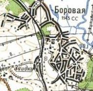 Topographic map of Borova