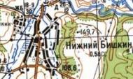 Топографическая карта Нижнего Бишкина