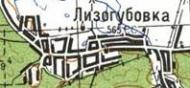 Топографическая карта Лизогубовки