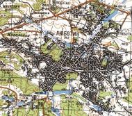 Топографическая карта Люботина