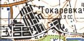 Топографическая карта Токаревки