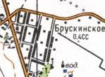 Topographic map of Bruskynske