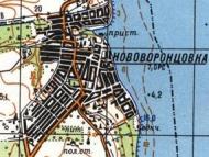 Топографическая карта Нововоронцовки