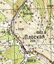 Топографическая карта Плоской