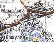 Топографическая карта Мамалыги