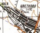 Topographic map of Tsvitkove