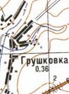 Топографическая карта Грушковки