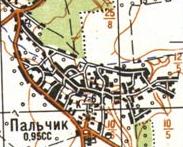 Topographic map of Palchyk