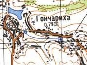 Topographic map of Goncharykha