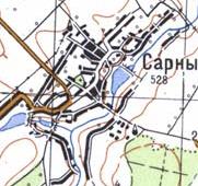 Topographic map of Sarny