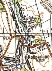 Топографічна карта Кобринового