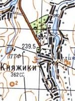 Топографічна карта Княжиок