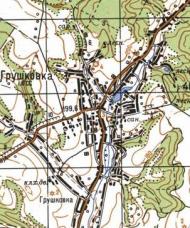 Топографическая карта Грушковки