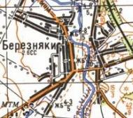 Topographic map of Bereznyaky