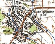 Topographic map of Dmytrushky