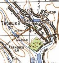 Topographic map of Tereshky