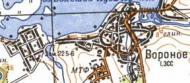 Topographic map of Vorone