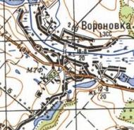 Топографическая карта Вороновки