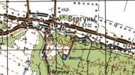 Топографічна карта Вергунів
