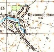 Топографічна карта Кривоносівки