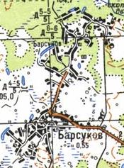 Topographic map of Borsukiv