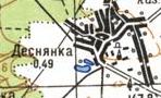Topographic map of Desnyanka