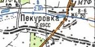 Топографічна карта Пекурівки