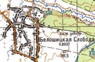 Топографическая карта Белошицкой Слободы