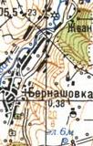 Топографическая карта Бернашевки