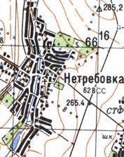 Топографическая карта Нетребовки