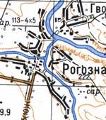 Топографическая карта Рогозны