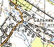 Topographic map of Salnyk