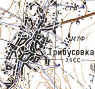 Topographic map of Trybusivka