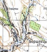 Topographic map of Borschivtsi
